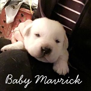 Meet your Posher, Beth